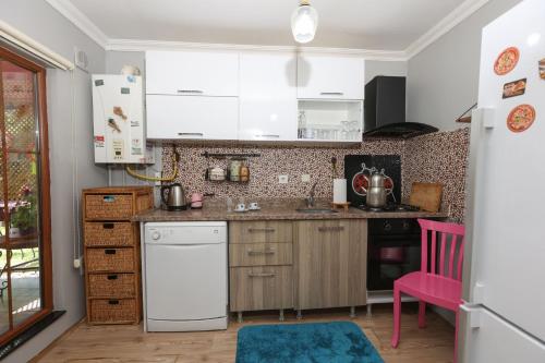 Maşukiye pink house bungalow的厨房或小厨房