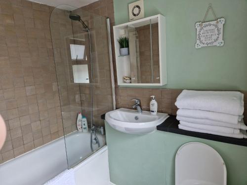 La salle de bains est pourvue d'un lavabo, de toilettes et d'une douche. dans l'établissement Tynant House- Modern 3 bed house- City centre and FREE parking, à Cardiff