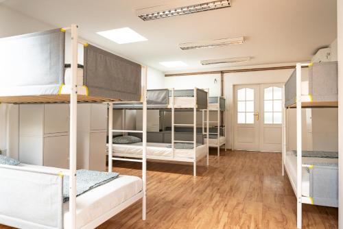 a dorm room with several bunk beds in it at Wild Elephants Hostel in Bratislava