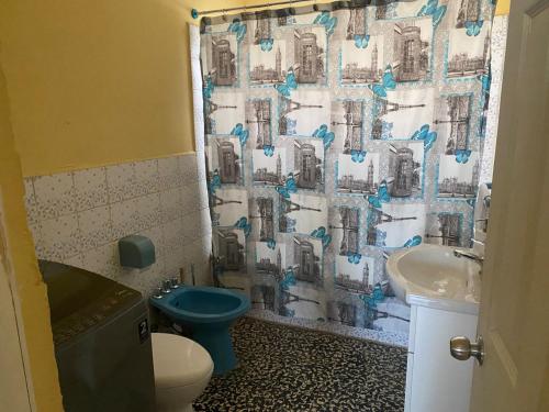 a bathroom with a blue toilet and a shower curtain at Tu Casa "Corazon de Cordillera" in Angol