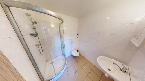 a bathroom with a shower and a sink and a toilet at U MIRASE Heřmaničky in Heřmaničky