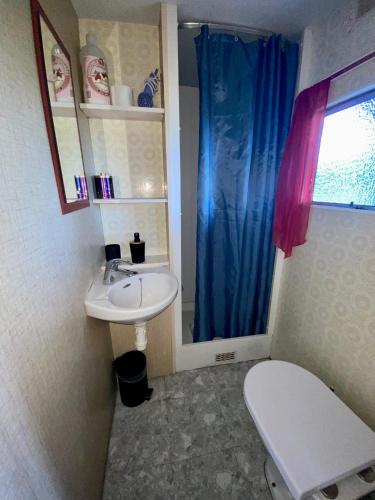 une petite salle de bain avec un lavabo et des toilettes dans l'établissement Mobilhome sous chalet en bois à la ferme, à Josnes