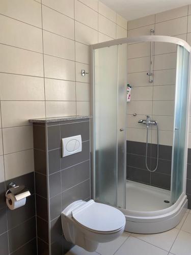 a bathroom with a shower and a toilet at Apartment 28 in Ljubuški