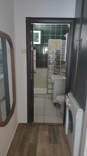 uma casa de banho com um WC, um lavatório e um espelho. em Apartament Victoria em Baile Felix