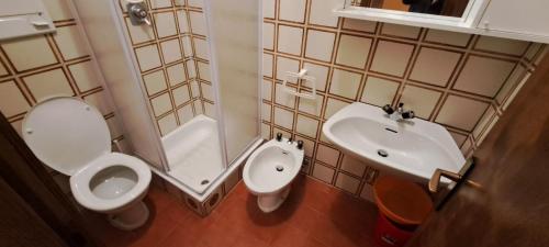 La petite salle de bains est pourvue de toilettes et d'un lavabo. dans l'établissement PICCOLA MARIA LILIA monolocale, à Pieve di Cadore