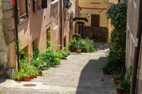 an alley in an old town with potted plants at Alloggi I Calieroni in Valstagna