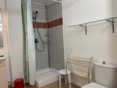 ein Bad mit einer Dusche und einem WC in der Unterkunft Immense StuDio 51 jusqu'à 4 personnes avec vue mer in Saint-Denis