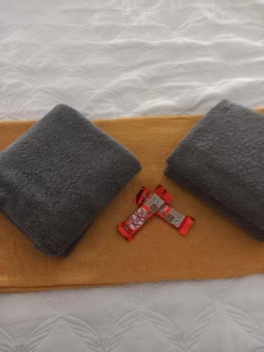 due cuscini grigi e un giocattolo rosso su un letto di Four Seasons Self-Catering Guest House a Graskop