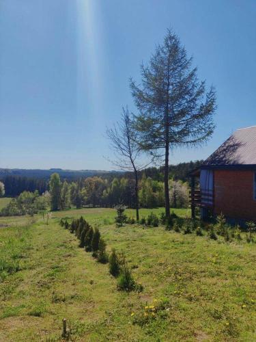 Domek na Wzgórzu
