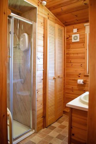 a bathroom with a shower and a sink at Secluded Pine Lodge 2 in Wigton