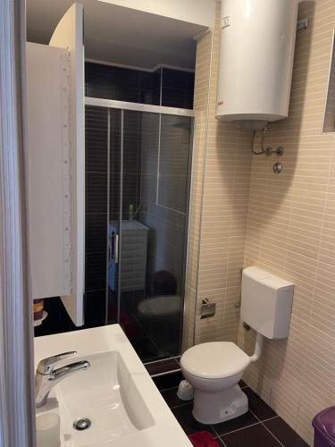 La petite salle de bains est pourvue de toilettes et d'un lavabo. dans l'établissement Apartment Park and Beach, à Igalo