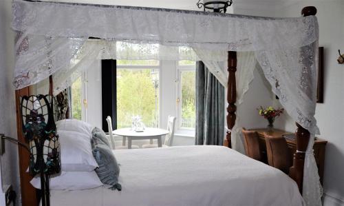 a bedroom with a canopy bed and a window at Greylands Guest House in Llandrindod Wells