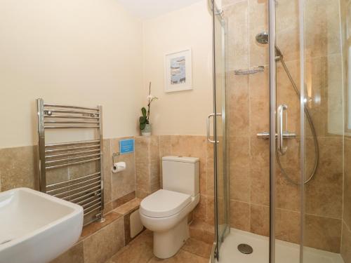 a bathroom with a toilet and a shower and a sink at Little Wharf in Weston-super-Mare