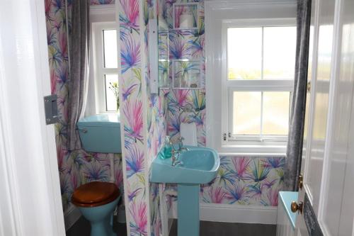 uma casa de banho com um lavatório azul e um WC. em Greylands Guest House em Llandrindod Wells