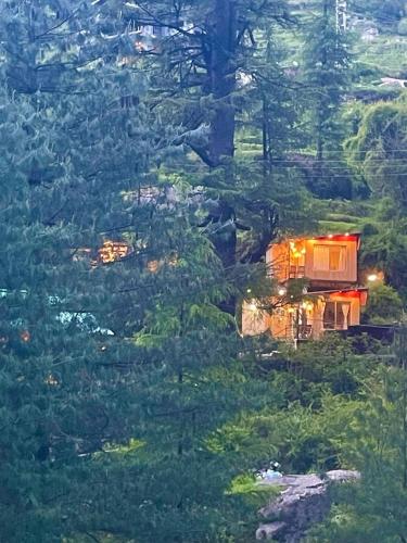 a train traveling through a forest of trees at Mystic Vibes - Jibhi in Jibhi