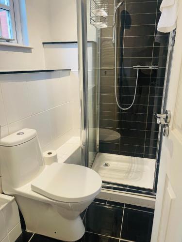 a bathroom with a toilet and a shower at Charming & Serene BS1 Bristol Studio Flat in Bristol