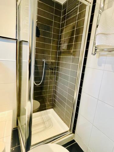 a glass shower in a bathroom with a toilet at Charming & Serene BS1 Bristol Studio Flat in Bristol