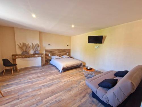 a bedroom with a bed and a couch and a tv at Appart Hôtel Du Grand Soleil in Saint-Chinian