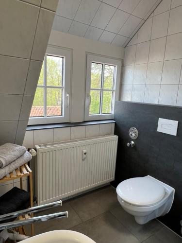 a bathroom with a white toilet and a window at Stonegalerie in Liebenburg