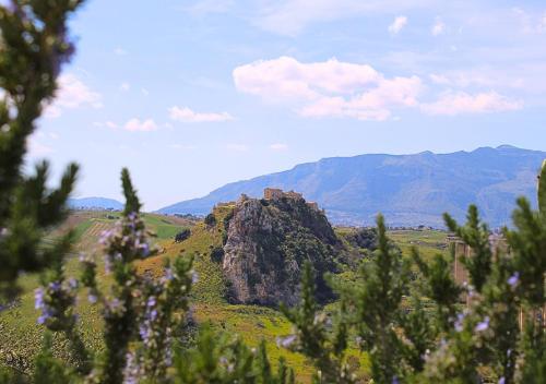 a view of a mountain with flowers in the foreground at Villa Finestra sul Castello in Partinico