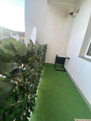 una stanza con un pavimento verde e una pianta di Apartament Terra II a Floreşti