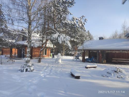 Świronek зимой