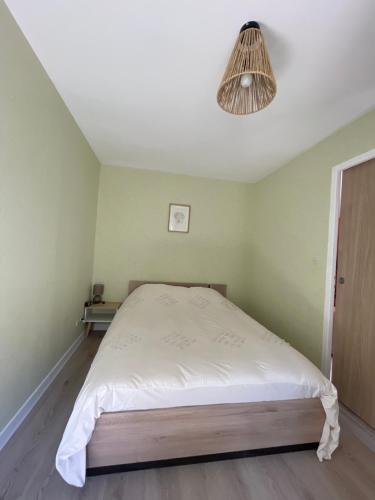 ein Schlafzimmer mit einem Bett in einem grünen Zimmer in der Unterkunft Appartement Centrale Confort in Montalieu-Vercieu