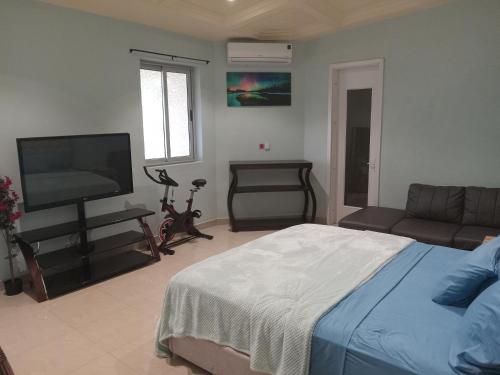 Schlafzimmer mit einem Bett und einem Flachbild-TV in der Unterkunft Oasis Lawafossi in Bobo-Dioulasso