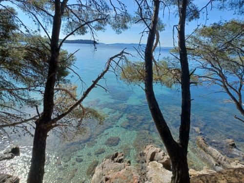 Φυσικό τοπίο κοντά σε αυτό το διαμέρισμα