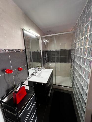 uma casa de banho com um lavatório e um chuveiro em Cap d’Agde, Village naturiste, port nature 5, coursive em Cap d'Agde
