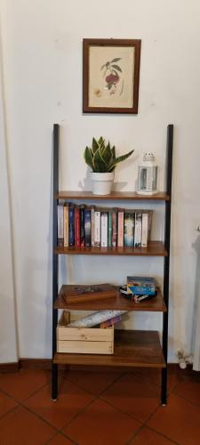 a book shelf with books and a plant on it at La Casetta di Sornico in Lierna