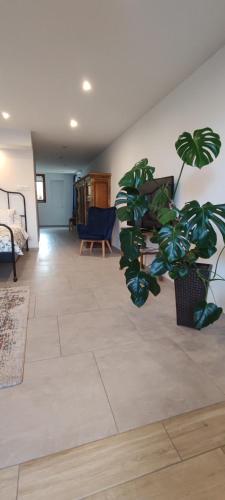 a living room with a potted plant on the floor at Apartament Kopernik in Bystrzyca Kłodzka