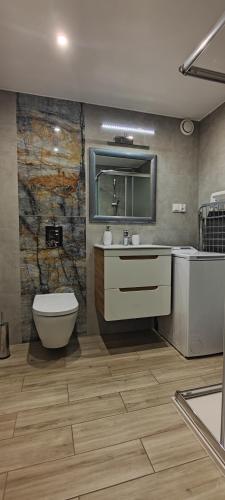 a bathroom with a toilet and a sink and a mirror at Apartament Kopernik in Bystrzyca Kłodzka