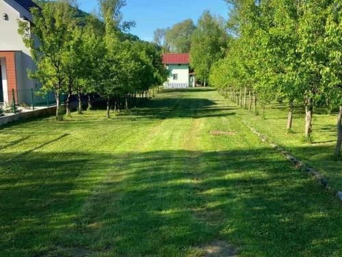  Kuca Delić -  Room  picture :   Shower    TV    Air conditioning                           