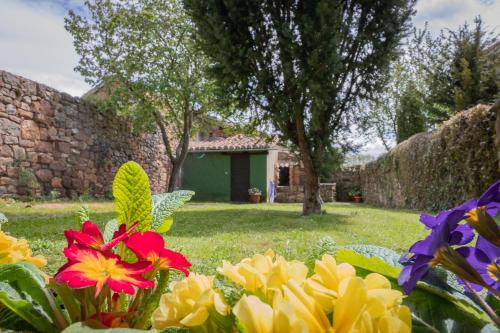 a group of flowers in a yard with a house at La Casa de Salinas in Salinas de Pisuerga