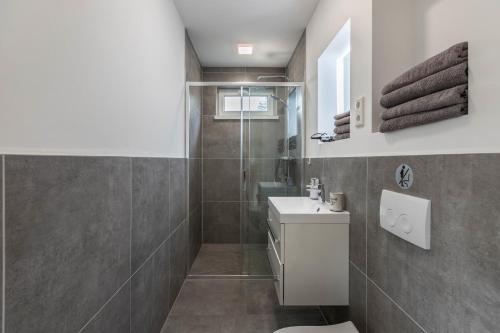 a bathroom with a shower and a toilet and a sink at Tinyhaus Brekendorf Kammberg in Brekendorf