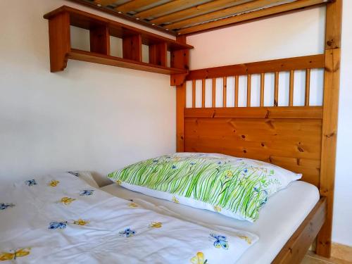 een bed met een kussen op de kamer bij Apartmán Rokytka s balkonem in Rokytnice nad Jizerou