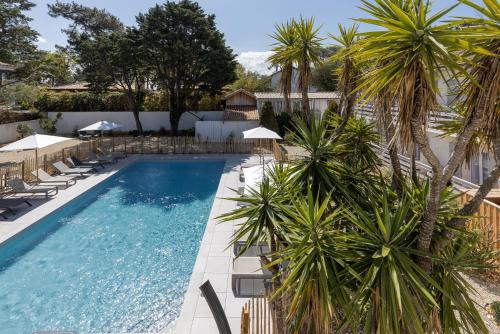 an image of a swimming pool with chairs and palm trees at La Frégate in Cap-Ferret