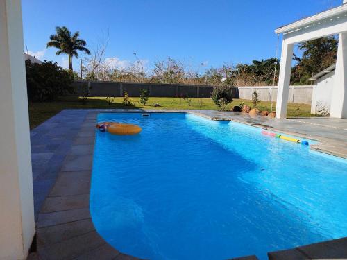 的住宿－Le Reposier，院子里的大型蓝色游泳池