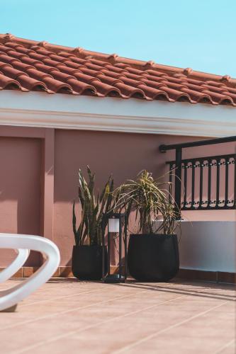 a pair of plants sitting on a balcony at Zeus Village Resort - Adults Only in Kato Daratso