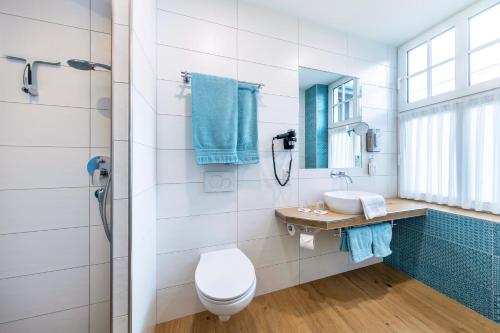a bathroom with a toilet and a sink and a mirror at AKZENT Hotel Restaurant Roter Ochse Rhens bei Koblenz in Rhens