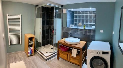 une salle de bain avec douche et machine à laver dans l'établissement Studio indépendant terrasse piscine, à Avignon