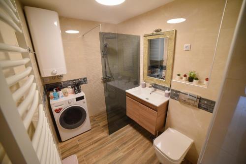 a bathroom with a shower sink and a washing machine at Gold Gondola Premium Apartments in Ribnica