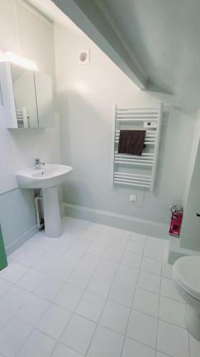 uma casa de banho branca com um lavatório e um WC em Studio fonctionnel proche gare Pierrefitte Stains "Appart 2" em Pierrefitte-sur-Seine