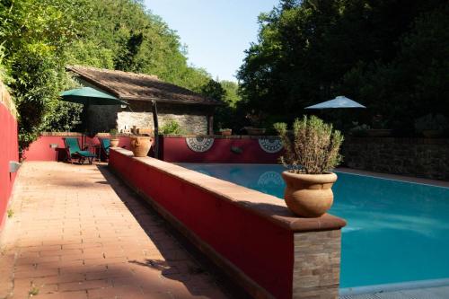 a swimming pool with a patio with chairs and umbrellas at Mulino di Castelvecchio in Borgo a Buggiano