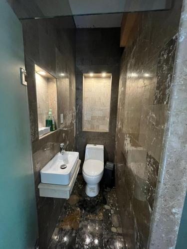 オリサバにあるAgradable Habitación Ojo de aguaのバスルーム(白いトイレ、シンク付)