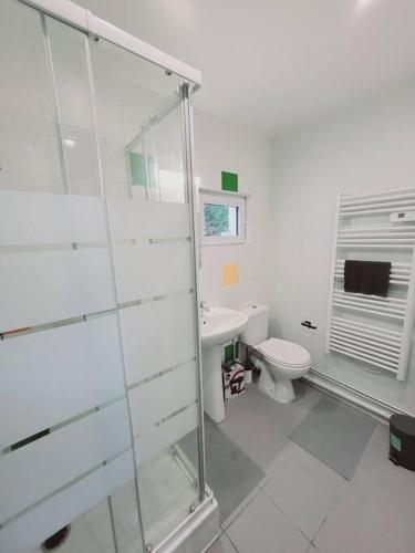 W łazience znajduje się przeszklony prysznic i toaleta. w obiekcie Appartement proche St denis "appart 3" w mieście Pierrefitte-sur-Seine