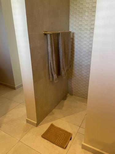 a bathroom with a shower with towels and a rug at Villa Vista Valentin in Willemstad