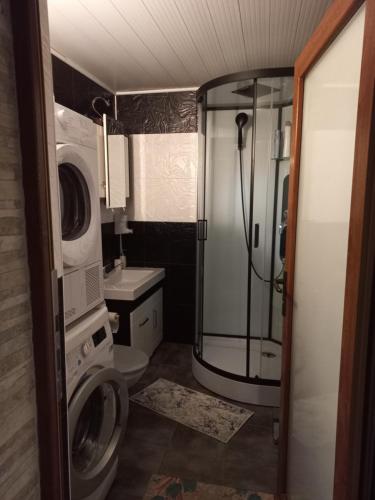 a bathroom with a shower and a washing machine at CASA ARTEMI in Remeţi