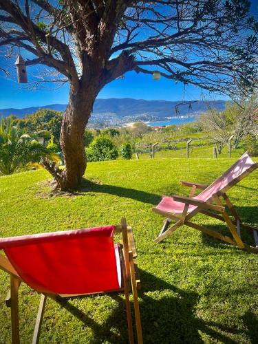 a red chair sitting next to a tree at Espectacular casa a dos minutos de Playa America in Nigrán